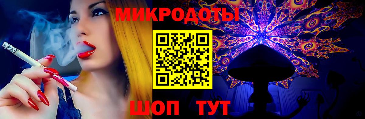 Галлюциногенные грибы Psilocybe Петрозаводск