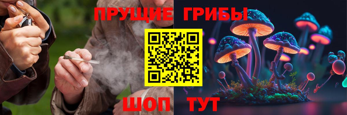 Псилоцибиновые грибы Magic Shrooms  Вход с VPN  Галлюциногенные грибы GOLDEN TEACHER  Петрозаводск 
